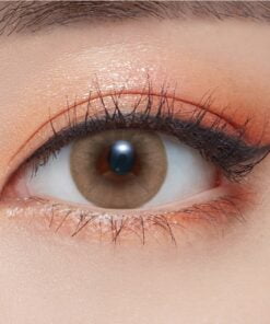 Olens 1 Day Russian Smoky Brown Daily Coloured Contact Lenses From Korea