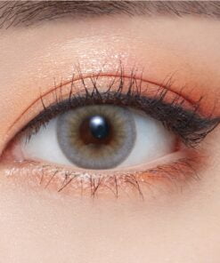 Olens 1 Day Russian Smoky Gray Daily Coloured Contact Lenses From Korea