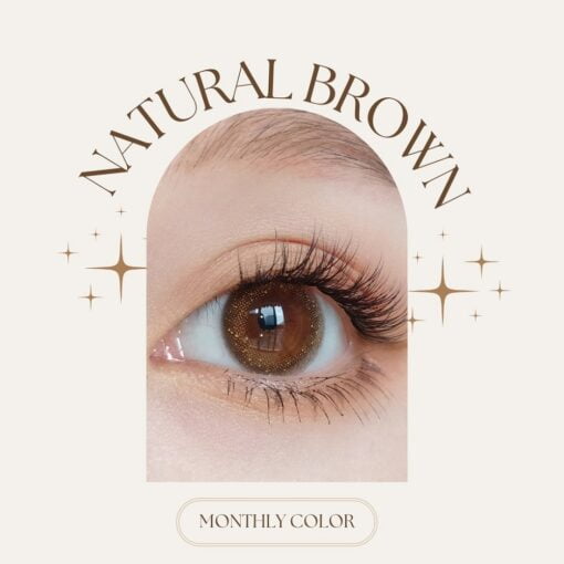 Seed Monthly Colour Lens Natural Brown