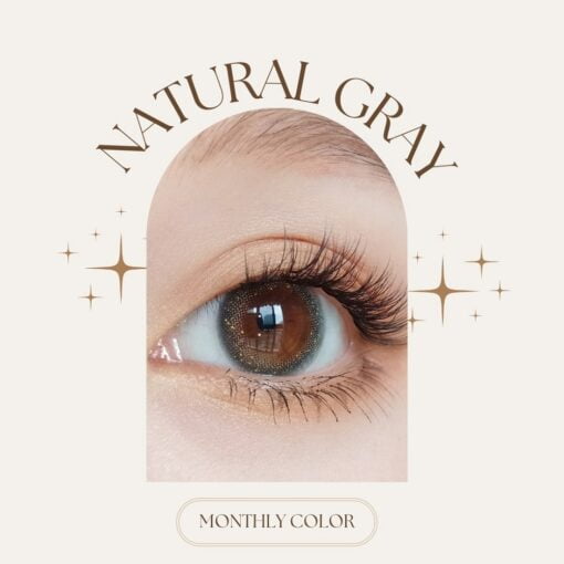 Seed Monthly Colour Lens Natural Gray